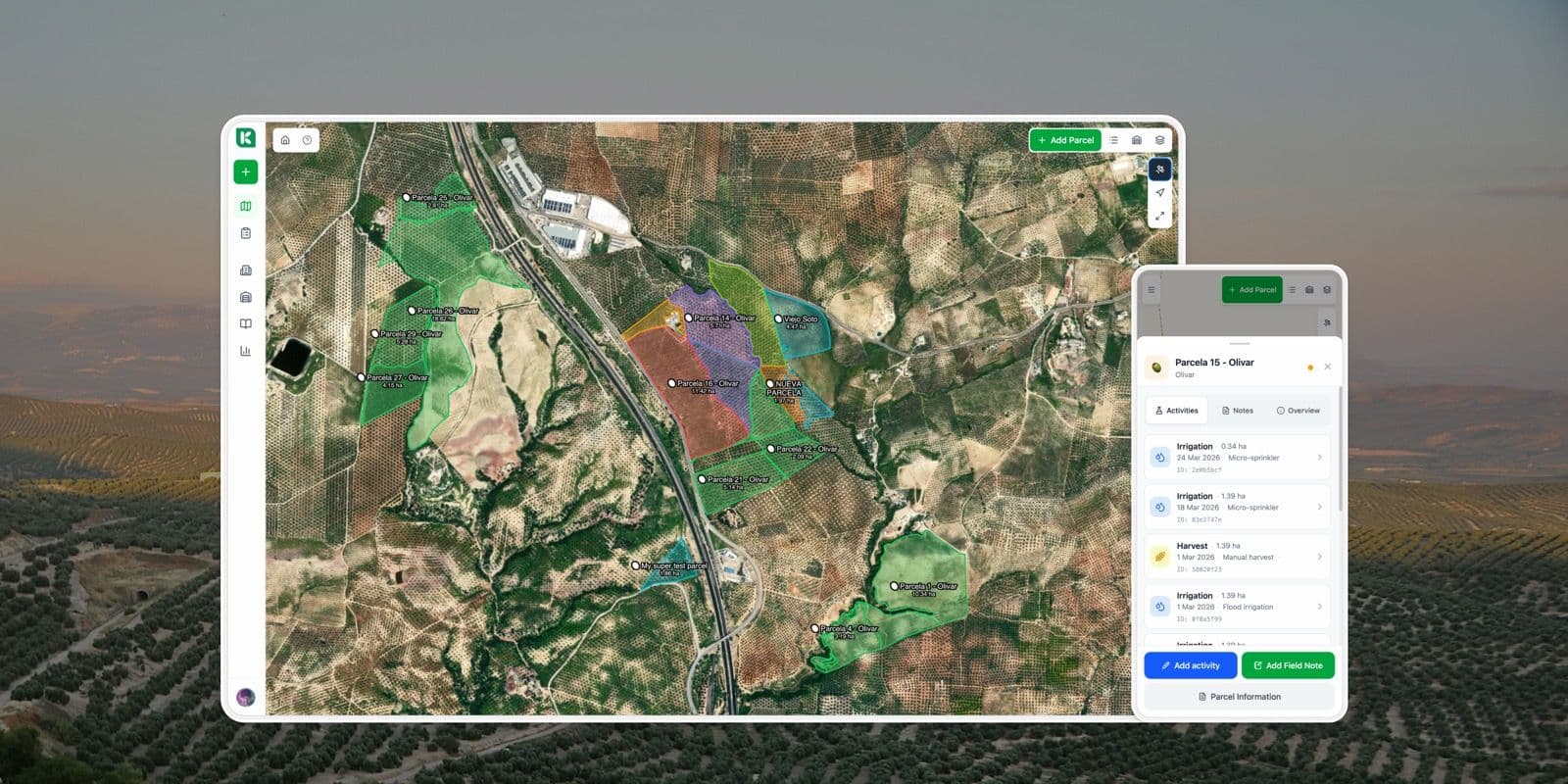 Introducing Koru Farm: The AI Agronomist Every Spanish Farmer Deserves
