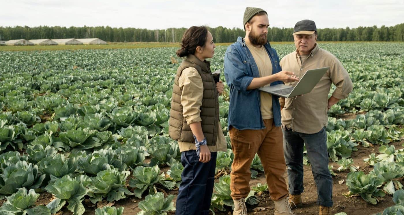 The Paper Field Notebook Is Dead: Why Spanish Farms Must Go Digital