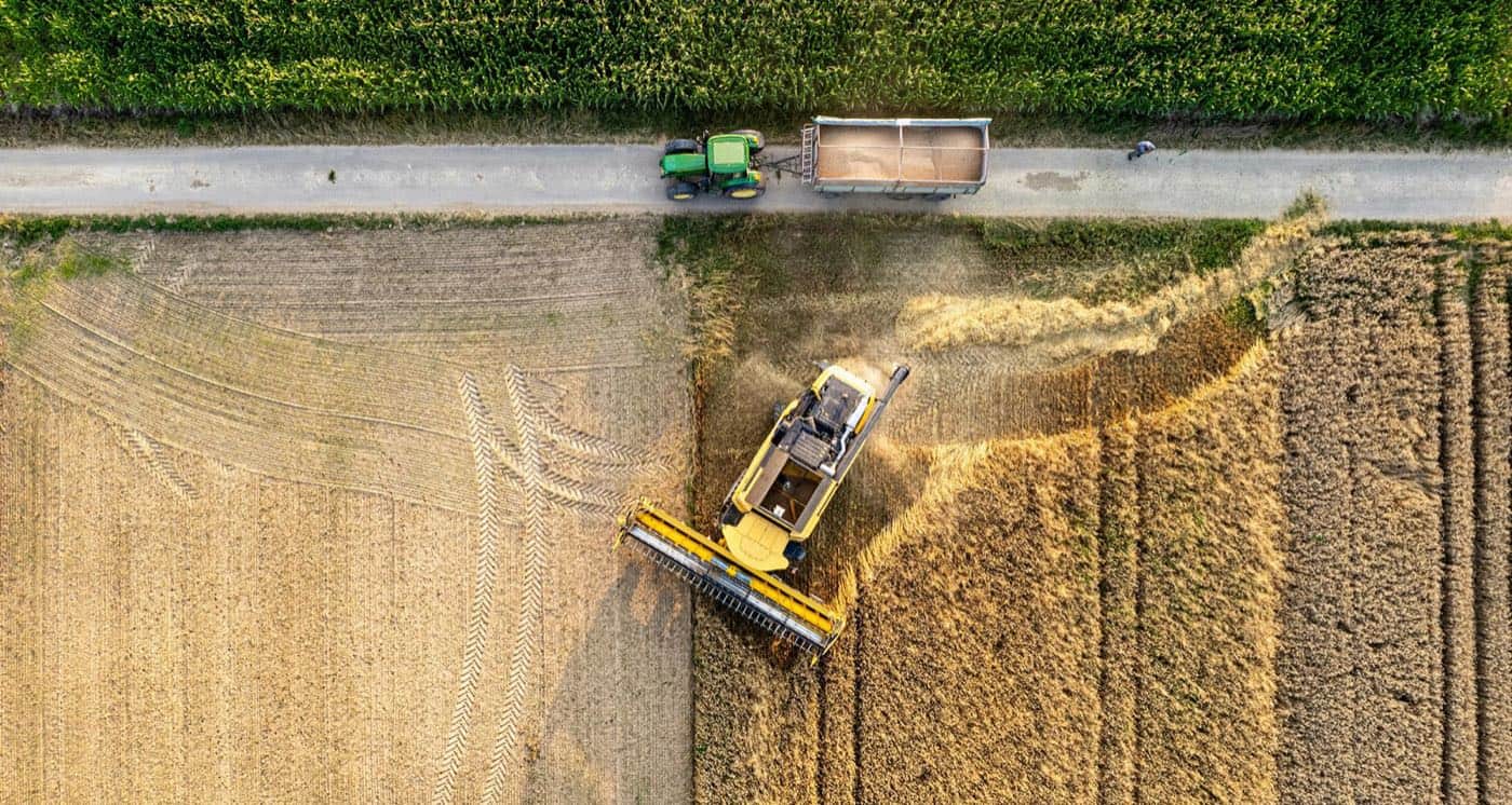 Cómo el asistente de voz de Koru convierte el español hablado en registros de finca estructurados