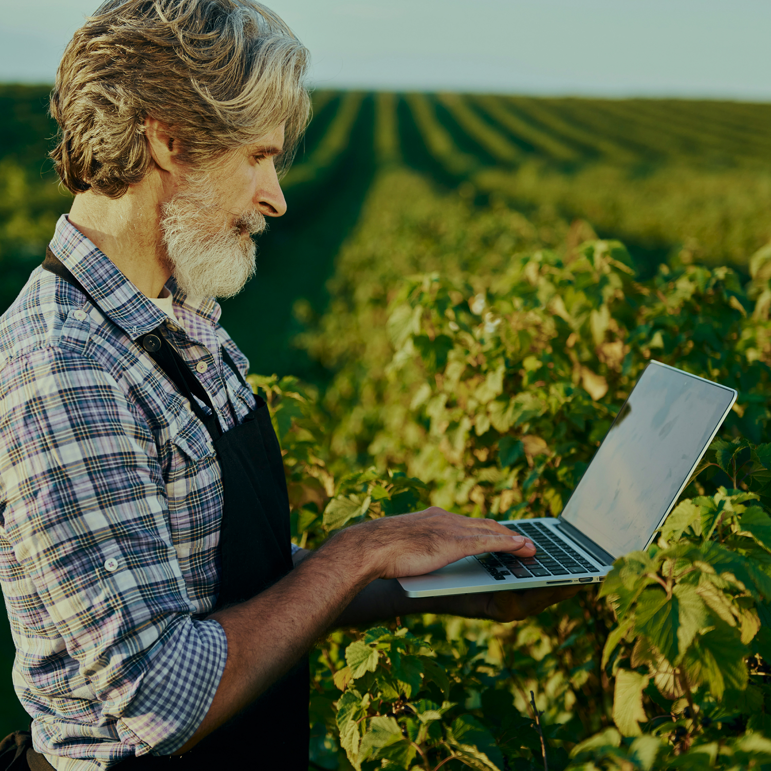 Farm & Field Management